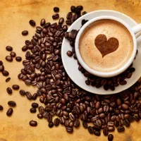 پخش قهوه چای پودریجات شکلات نبات  هل اکبر
