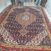 ۶متری جفت ماهی|فرش|مراغه, |دیوار
