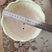 گلدان سفالی|گل و گیاه طبیعی|جیرفت, |دیوار