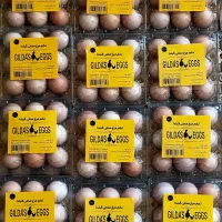 تخم مرغ بومی|خوردنی و آشامیدنی|فرخشهر, |دیوار