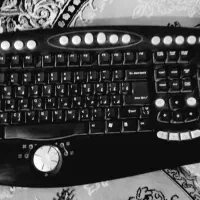 کیبرد|پیانو، کیبورد، آکاردئون|زابل, |دیوار