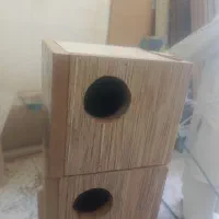 لانه پرنده