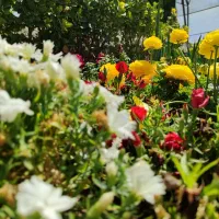 مربی آمادگی جسمانی بانوان