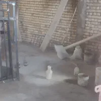 انباراجاره-ای