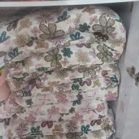 تشک نو نو