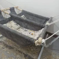 گهواره دو قلو