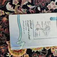 کتاب زبان و فیزیولوژی دانشگاهی|کتاب و مجله آموزشی|قم, شهرک امام حسن|دیوار