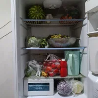 یخچال و فریزر