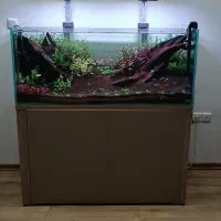 انجام دکوراسیون اکواریوم آب شیرین و آب شور