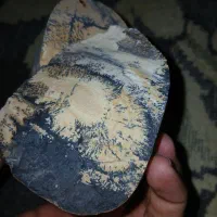 سنگ شجر زمینه سفید
