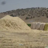 کارباوانت بار،وکاه پرمیکنم