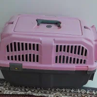 باکس  نگهداری سگ
