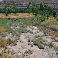 باغ گلمکان|فروش زمین و ملک کلنگی|گلمکان, |دیوار