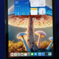 ipad air 3