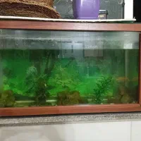 آکواریوم سالم فول امکانات فقط معلوضه