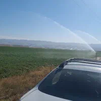 اجاره زمین کشاورزی|اجارهٔ دفتر صنعتی، کشاورزی، تجاری|قره پشتلو, |دیوار