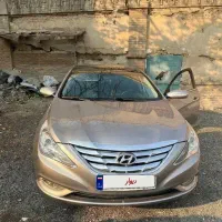 سوناتا سربی ۲۰۱۲ سفارتی و استثنایی