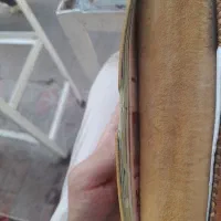 کسب کار درست و حسابی