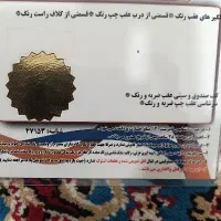 رانا مدل 93 پلمپ موتور tu5 تیوفایو|خودرو سواری و وانت|شهریار, شهرک امیریه|دیوار