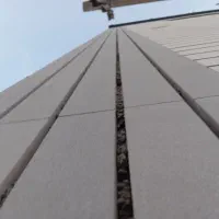 نما کاری باقیمت مناسب فقط تماس بگیر|خدمات پیشه و مهارت|میبد, |دیوار