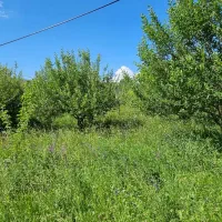 باغ به متراژ ۲۱۴۰ در ۵ کیلومتری خلخال با برق و گاز