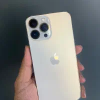 13pro max