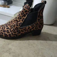 نیم بوت|کیف، کفش، کمربند|رباط‌کریم, نصیرشهر|دیوار