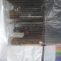 قفس فلزی پرنده|لوازم جانبی حیوانات|آمل, |دیوار