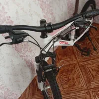 دوچرخه چیاوا