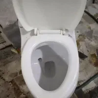 توات فرنگی