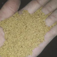 بذر یونجه اصلاح شده 99%|عمده‌فروشی|شیراز, آبیاری|دیوار