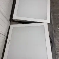 معاوضه کبوتر دمگیر خرقه با کابل برق|پرنده|برخوار, |دیوار