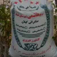 فروش برنج هاشمی شهرستان خمام.صادراتی