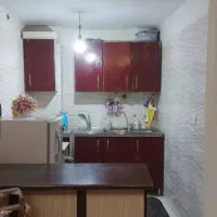 رهن و اجاره چهل متری زیرزمین به یک یا دو خانم