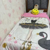 تخت یک نفره همراه تشک۱۲۰۰۰۰۰۰