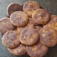 آگهی|حراج|مریوان, |دیوار