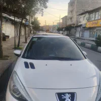 207  پانا مدل 1400 تحویل بهمن