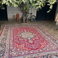 فرش ۱۲ متری|فرش|قزوین, |دیوار