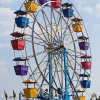 محصولات پارکی رو باز و مسقف