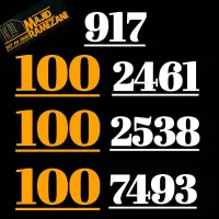 917.100.2461