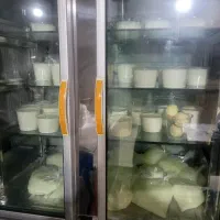 فروشنده لبنیاتی