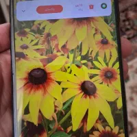 گوشی شیامی Redmi 9T