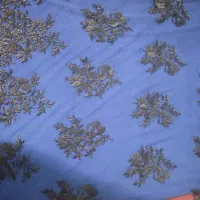 ماکسی وپارچه|لباس|اهواز, کوی علوی|دیوار