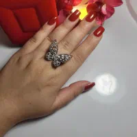 انواع بدلیجات پینترسی