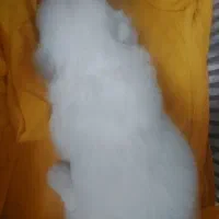 توله سگ بانژاد خوب