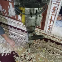 هیلتی سالم