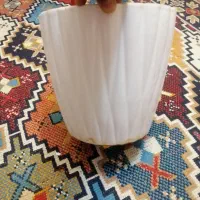 گلدون|گل و گیاه طبیعی|مشهد, نوید|دیوار