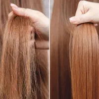 خدمات احیا وصافی