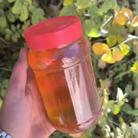 پخش عسل طبیعی تربت|خوردنی و آشامیدنی|تربتحیدریه, میدان مرکزی|دیوار