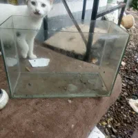 اکواریوم طول ۳۶ ارتفاع ۲۳